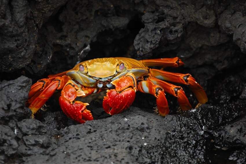 死海(中国死海为什么叫死海)