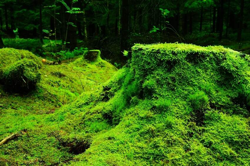 梦幻西游普陀山加点(普陀山怎样加点)