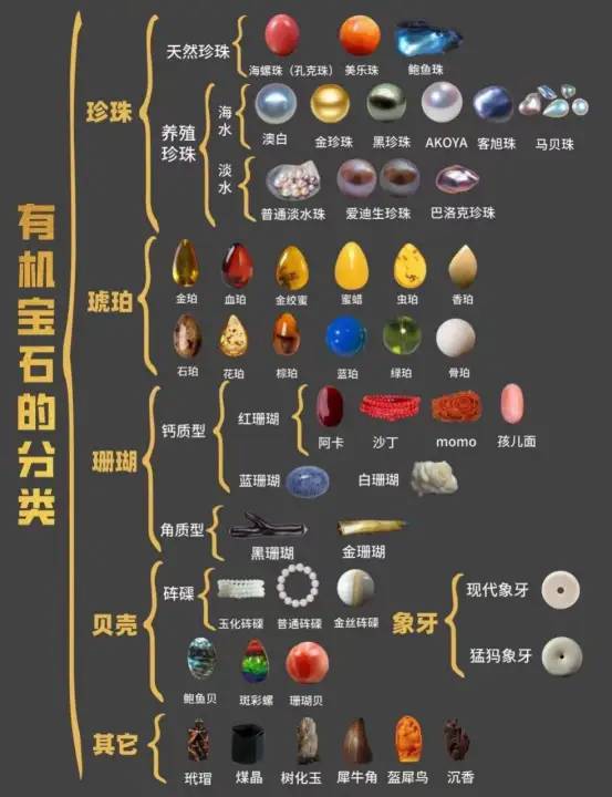 一分钟学会珠宝分类