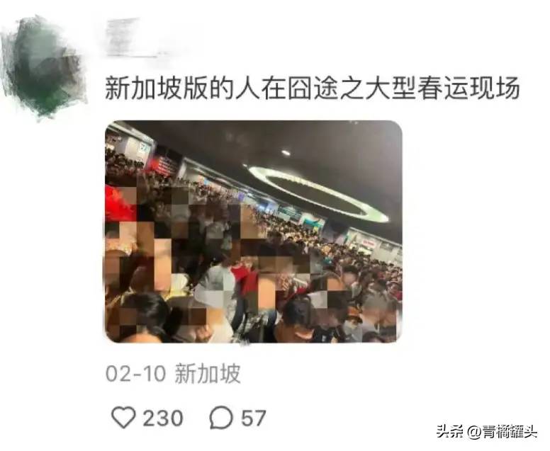 第一批免签去新加坡旅游的人，快破产了！有人地铁喝水被罚2650元