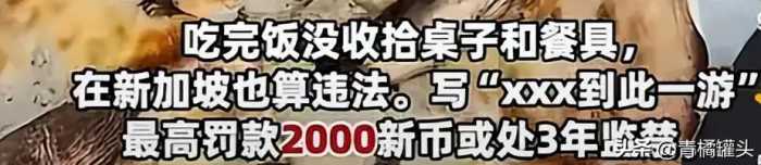 第一批免签去新加坡旅游的人，快破产了！有人地铁喝水被罚2650元