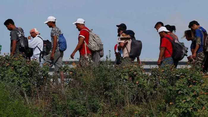 3.6万润人走线美国惨遭遣返，但是我们一个都不要！